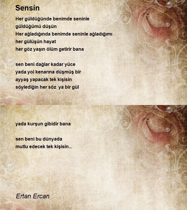 Ertan Ercan