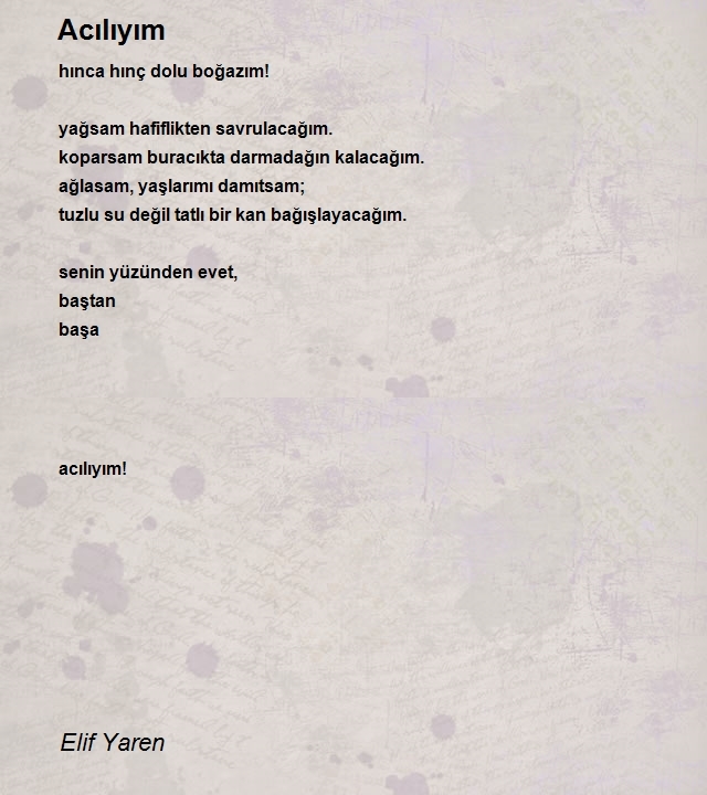 Elif Yaren