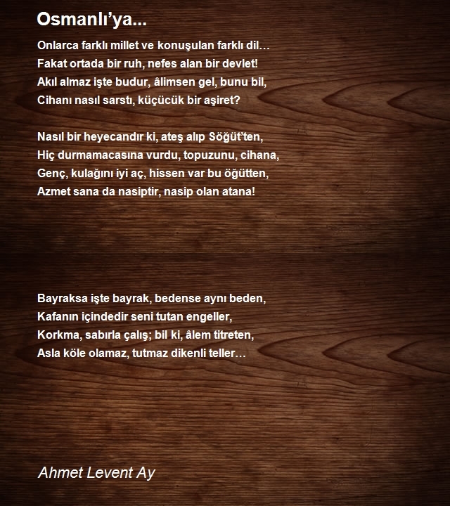 Ahmet Levent Ay