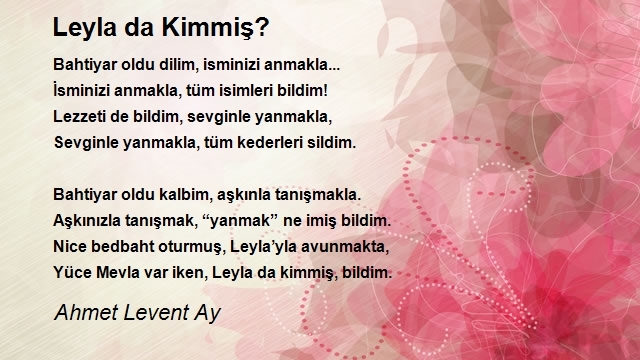 Ahmet Levent Ay