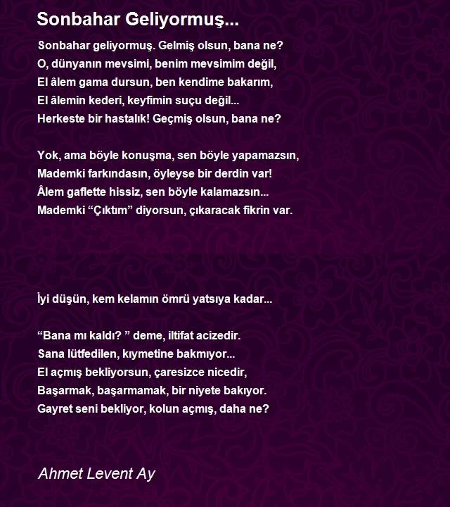 Ahmet Levent Ay