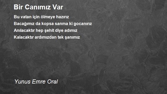 Yunus Emre Oral