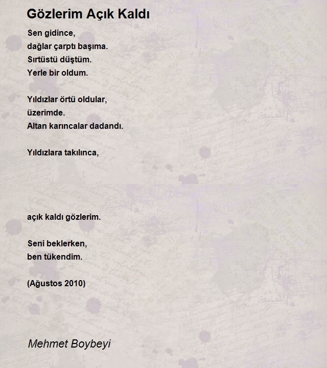 Mehmet Boybeyi