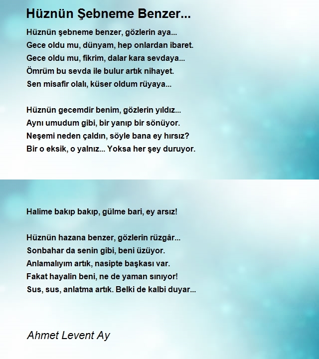 Ahmet Levent Ay