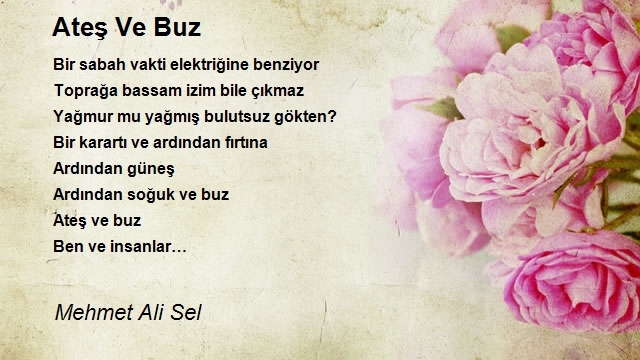 Mehmet Ali Sel