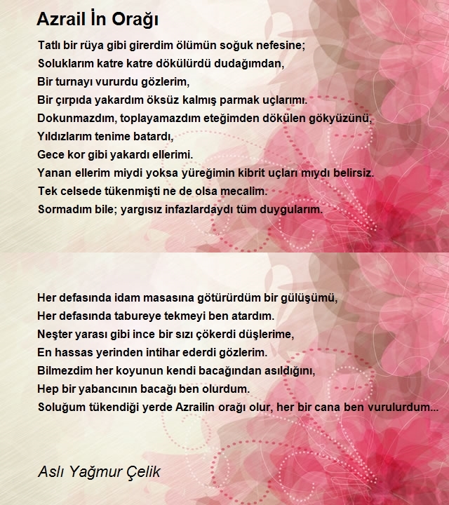 Aslı Yağmur Çelik