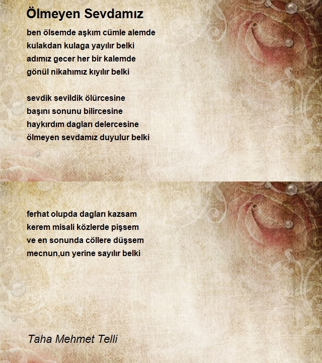 Taha Mehmet Telli