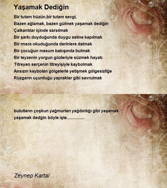 Zeynep Kartal