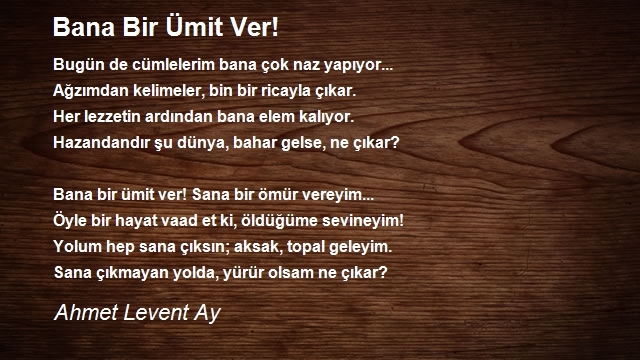 Ahmet Levent Ay