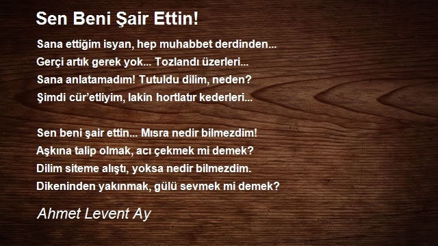 Ahmet Levent Ay