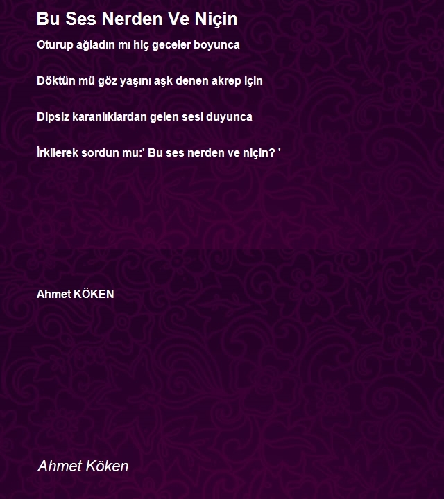 Ahmet Köken