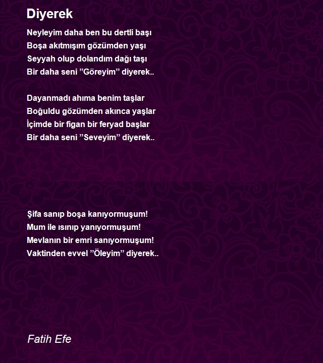 Fatih Efe