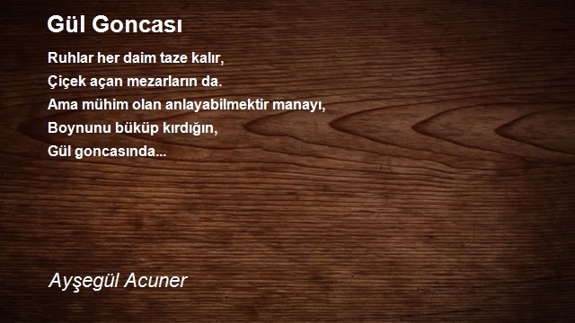 Ayşegül Acuner Ceylan