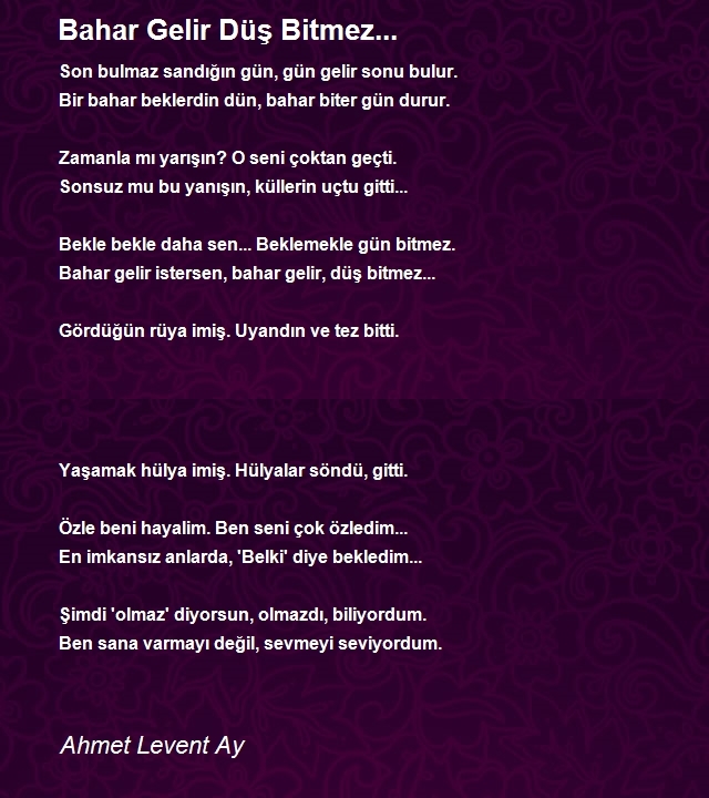 Ahmet Levent Ay