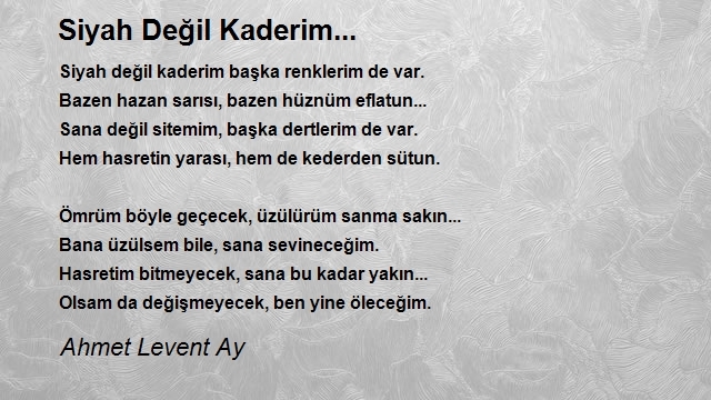 Ahmet Levent Ay