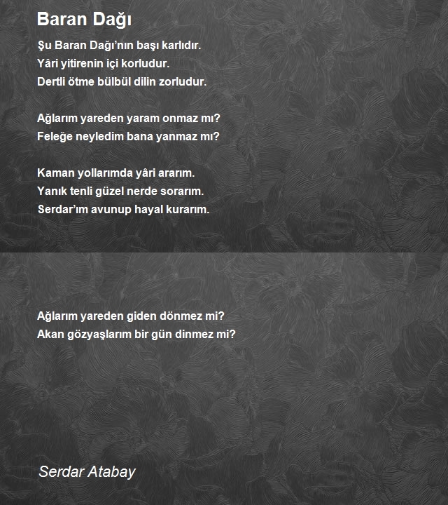 Serdar Atabay