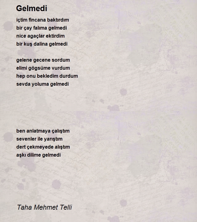 Taha Mehmet Telli