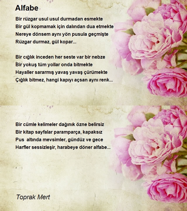 Toprak Mert