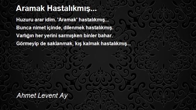 Ahmet Levent Ay