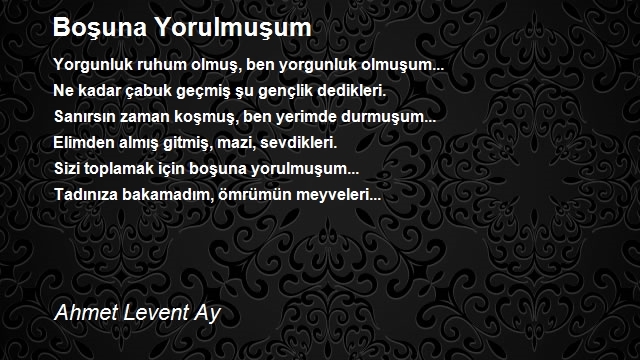 Ahmet Levent Ay