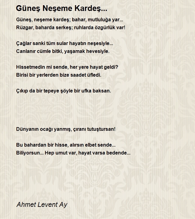 Ahmet Levent Ay