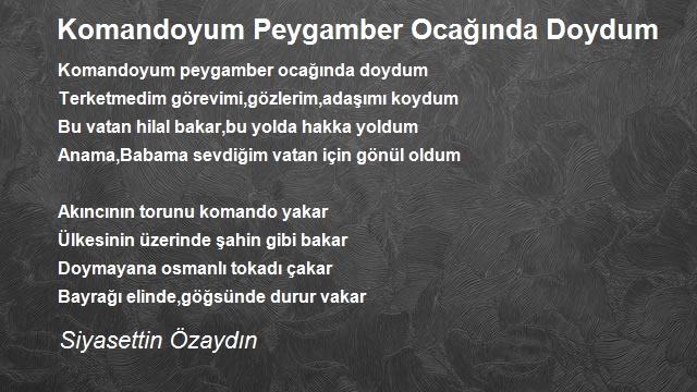 Siyasettin Özaydın