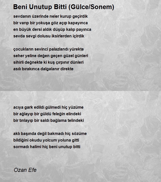 Ozan Efe