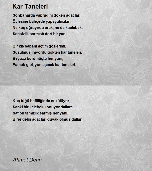 Ahmet Derin