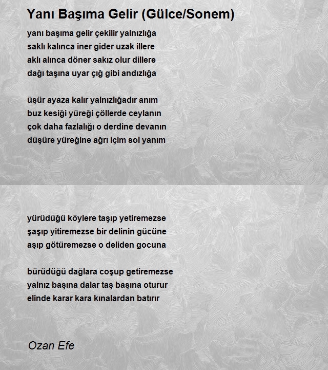 Ozan Efe