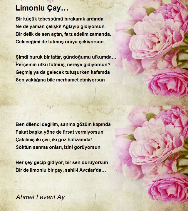 Ahmet Levent Ay