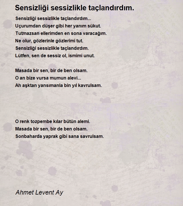 Ahmet Levent Ay