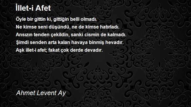 Ahmet Levent Ay