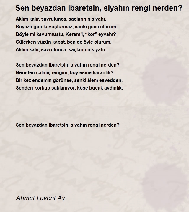 Ahmet Levent Ay