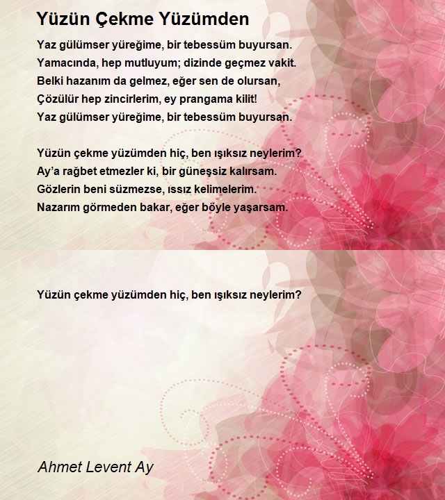 Ahmet Levent Ay