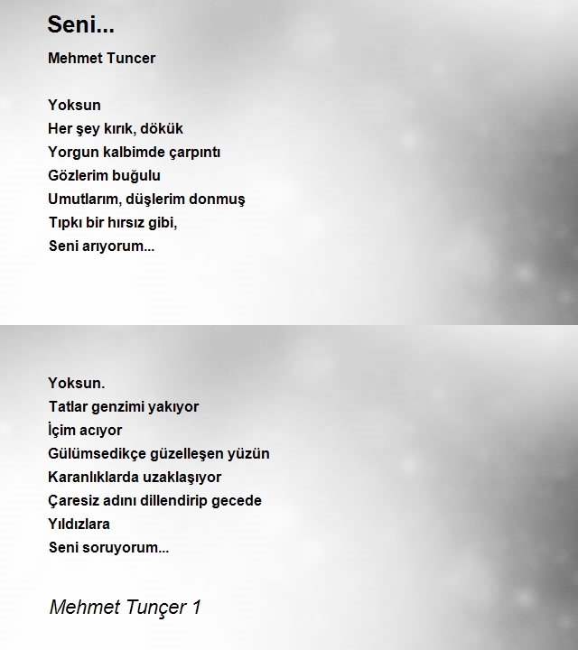 Mehmet Tunçer 1