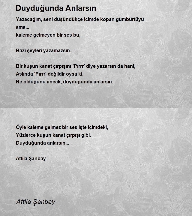 Attila Şanbay