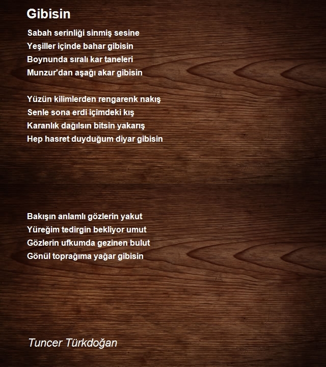 Tuncer Türkdoğan 