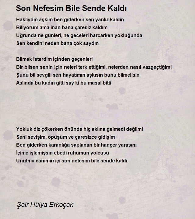 Şair Hülya Erkoçak