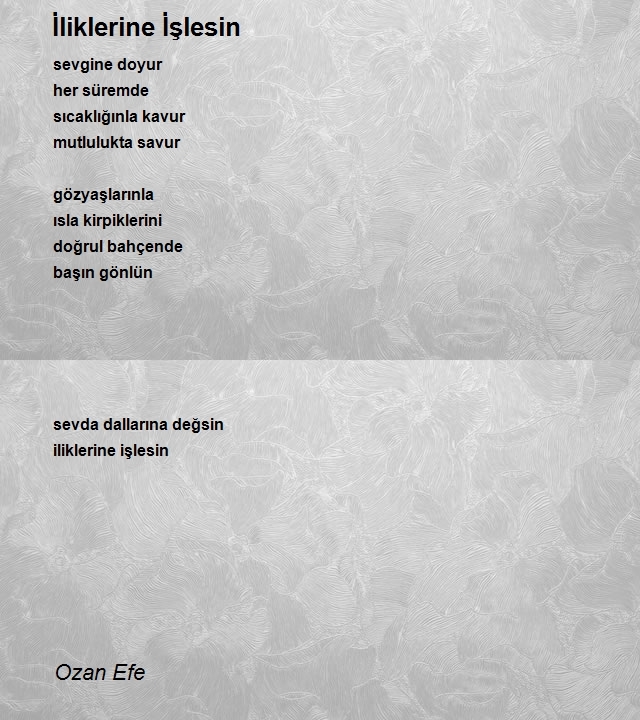 Ozan Efe