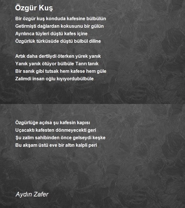 Aydın Zafer