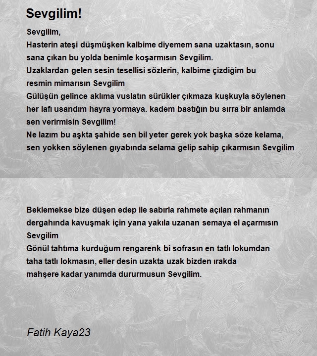 Fatih Kaya23