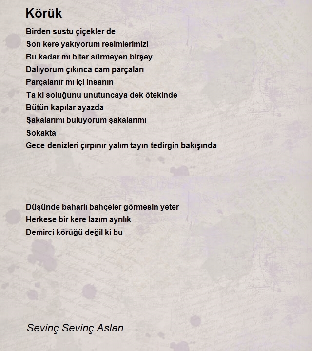 Sevinç Sevinç Aslan