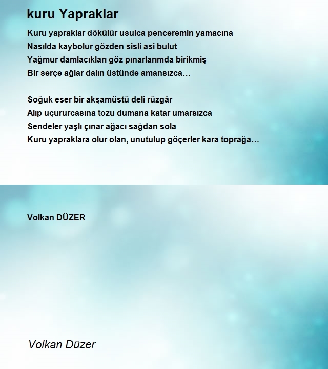 Volkan Düzer