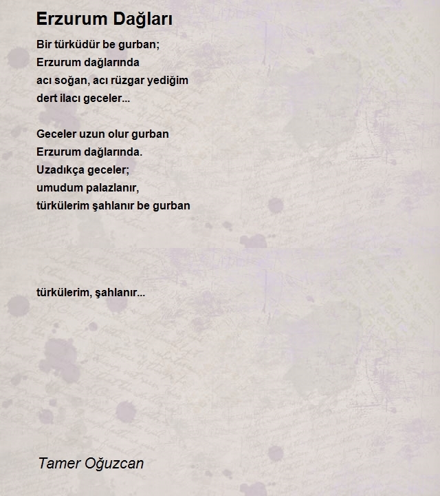 Tamer Oğuzcan