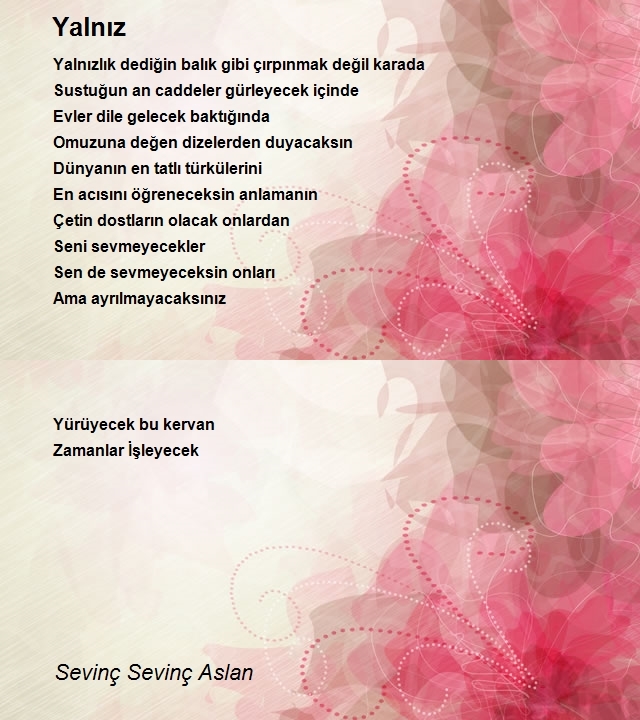 Sevinç Sevinç Aslan