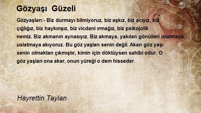 Hayrettin Taylan