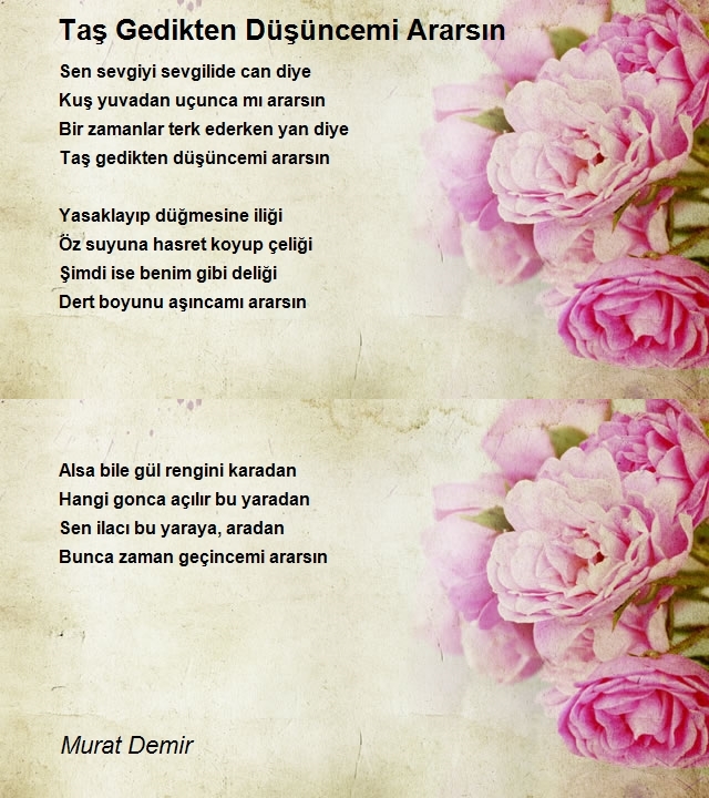 Murat Demir