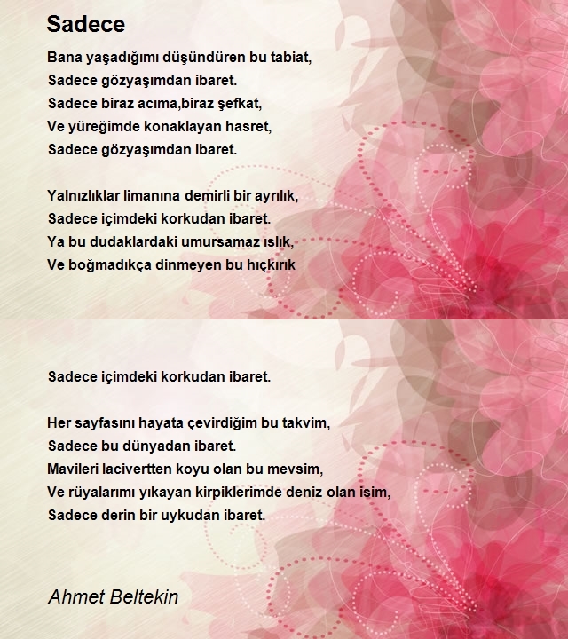 Ahmet Beltekin