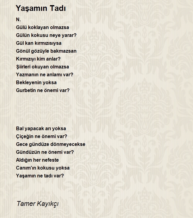 Tamer Kayıkçı