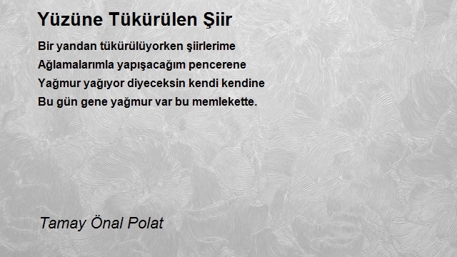 Tamay Önal Polat